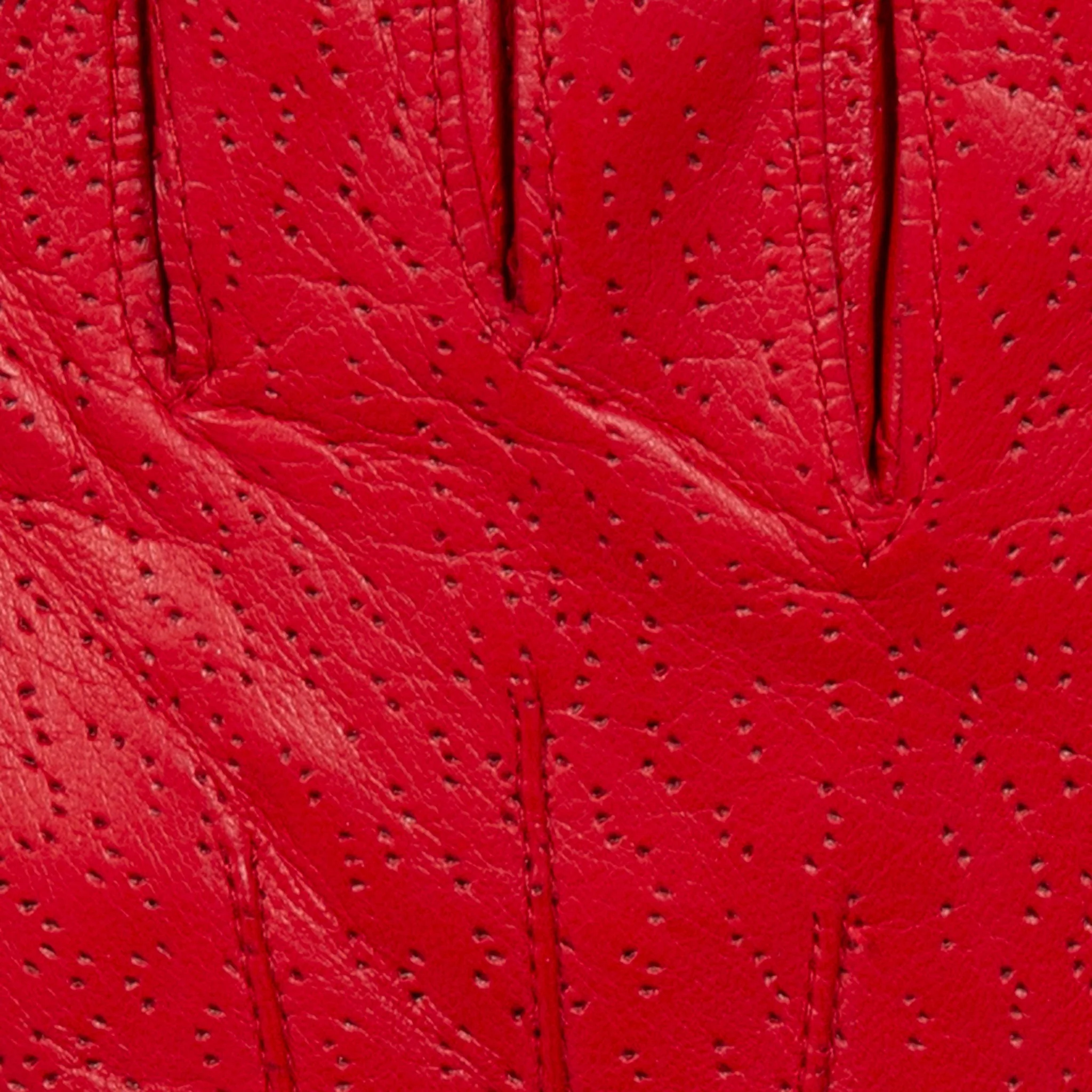 Women's Three-Point Lined Imitation Peccary Leather Gloves - Image 20